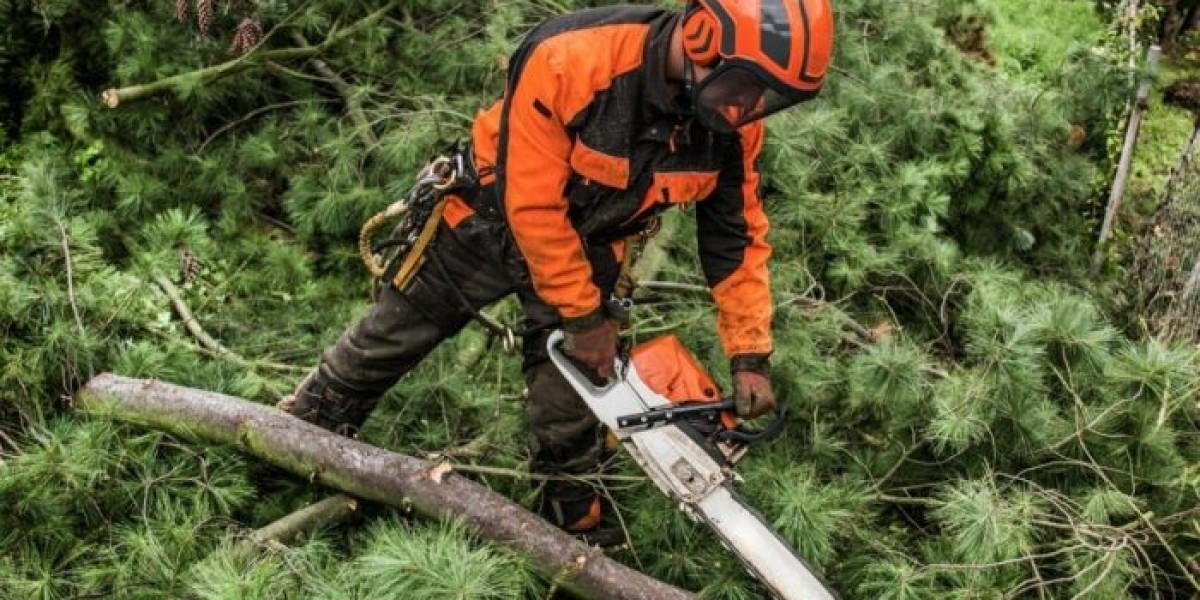 Emergency Tree Surgeons London